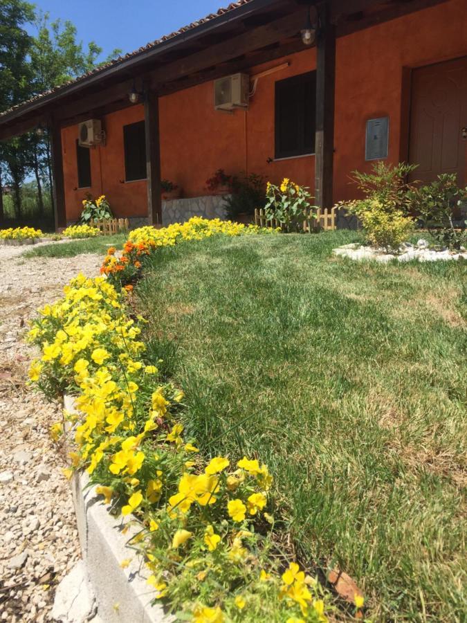 Il Girasole B&B Ceprano Zewnętrze zdjęcie