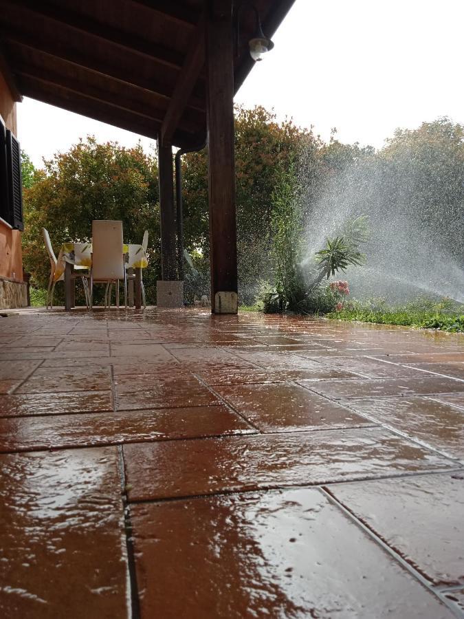 Il Girasole B&B Ceprano Zewnętrze zdjęcie